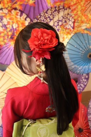 フリーチョイスヘアセット