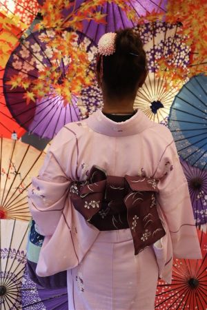 小紋