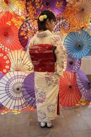 名古屋帯プラン