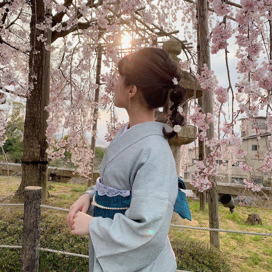 着物姿で桜