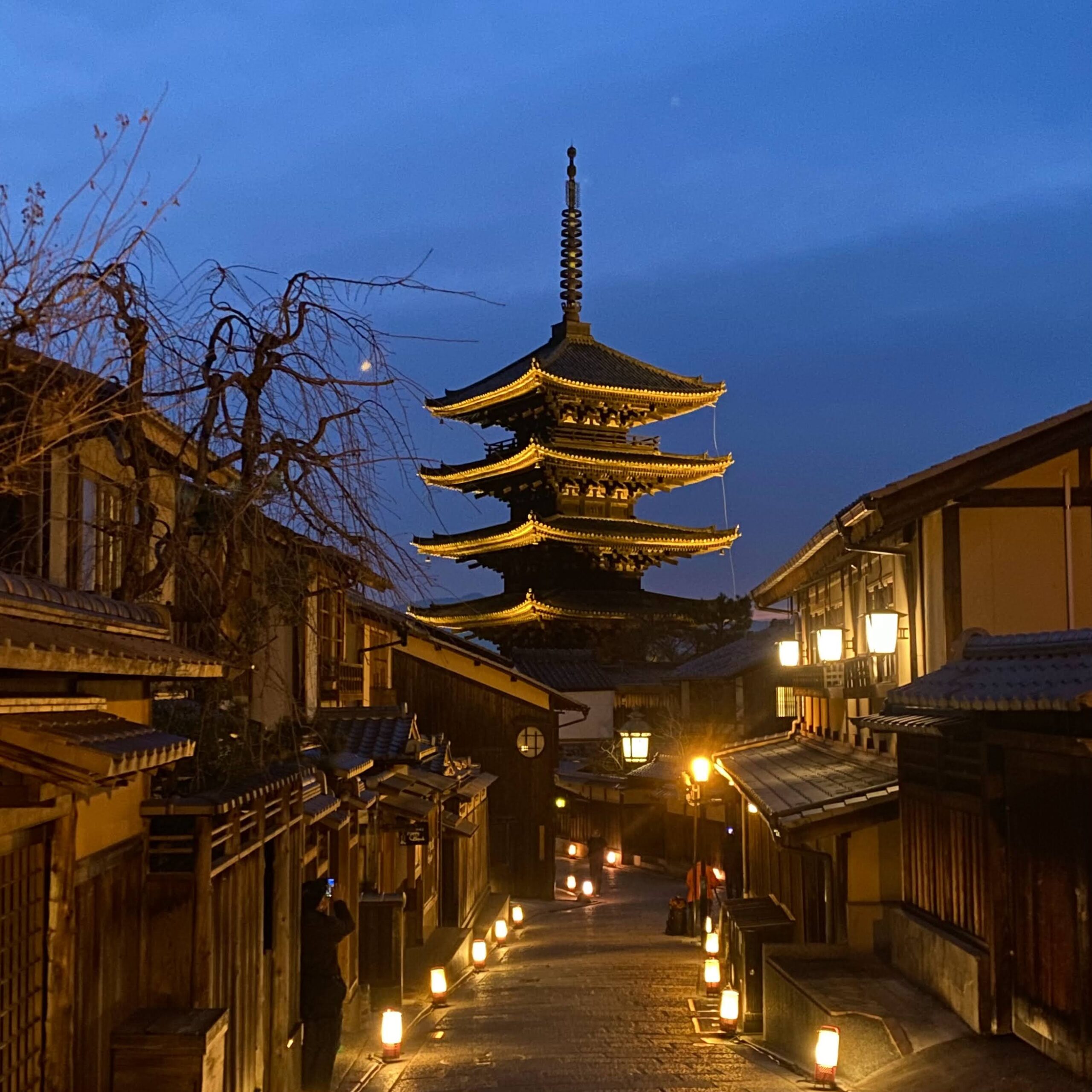 Illumination Specials Through the Four Seasons – Enjoy Kyoto Until Nightfall in Kimono