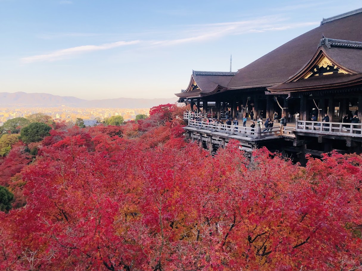 気軽に着物体験！紅葉の名所をレンタル着物で散策しよう。