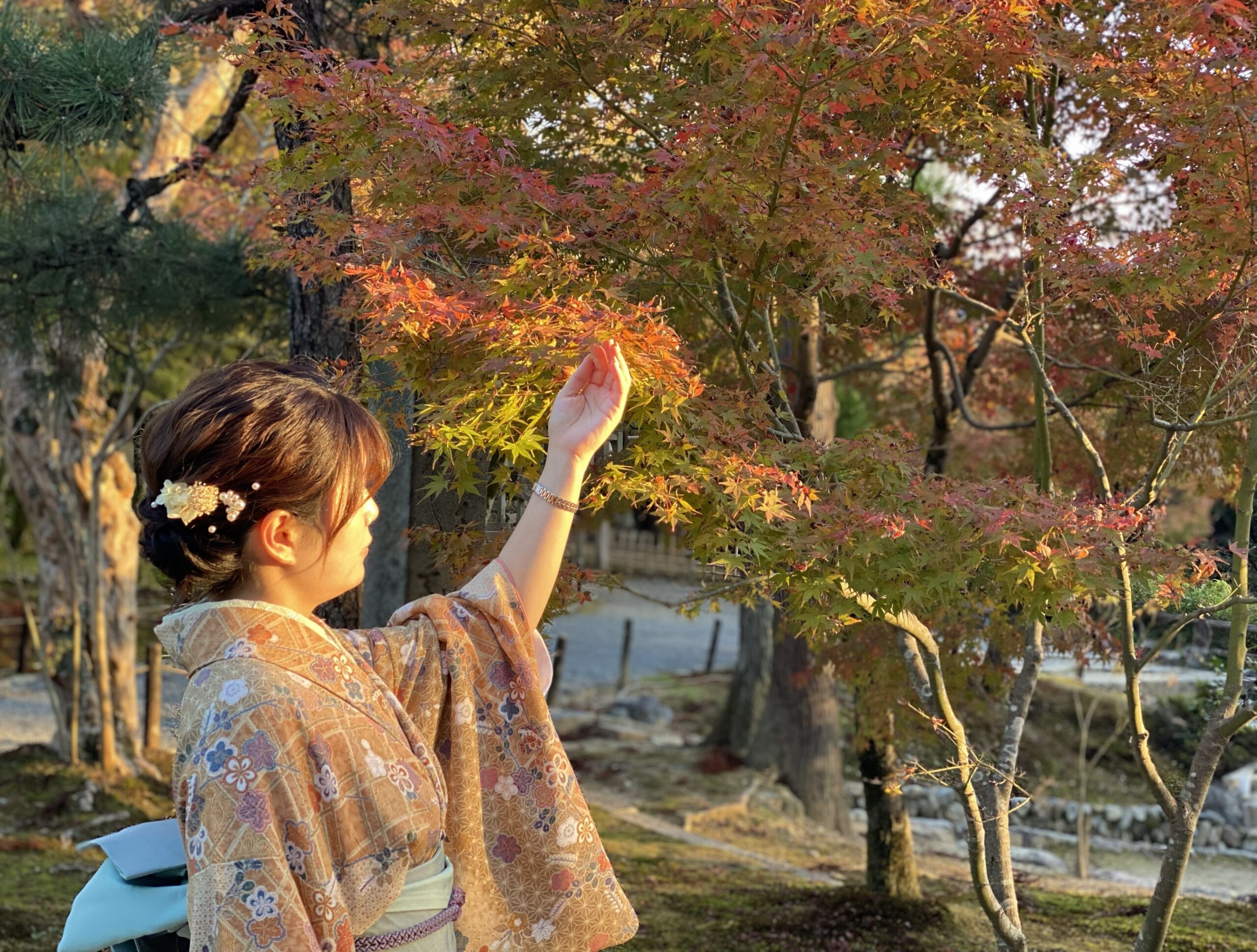 京都観光紅葉狩りの超穴場スポット奥嵯峨 ~ 混雑しないゆったり静かな奥嵯峨へ