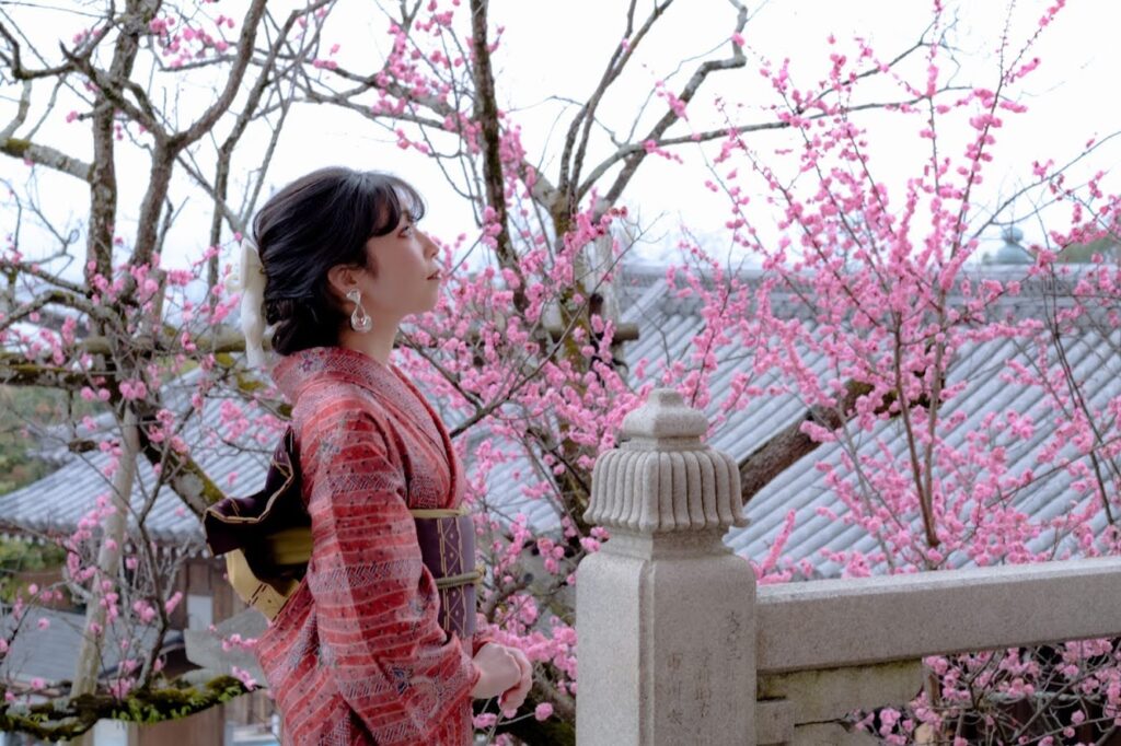 京都着物梅の花