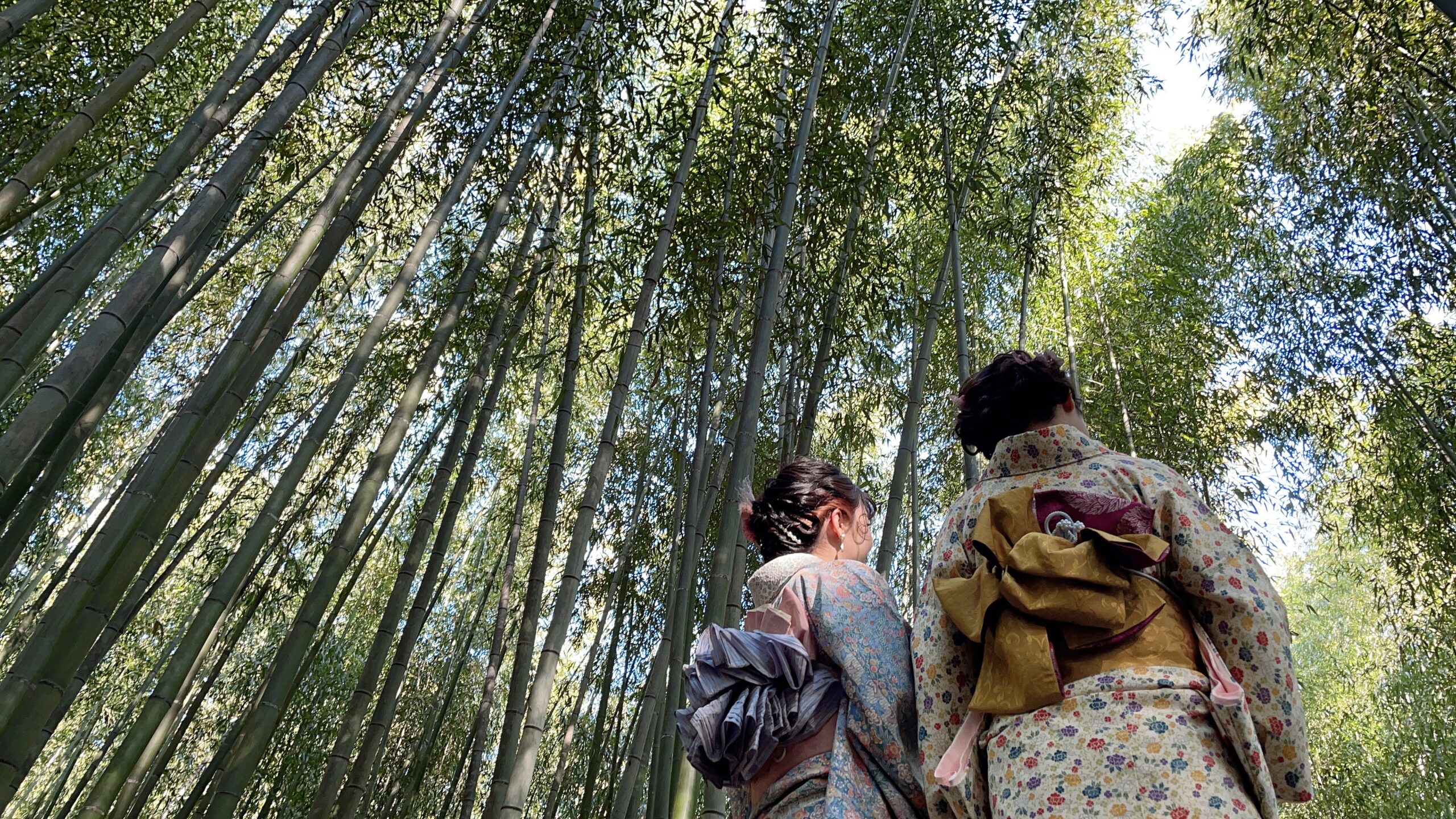 【京都】中高生向けの修学旅行おすすめ観光スポット紹介