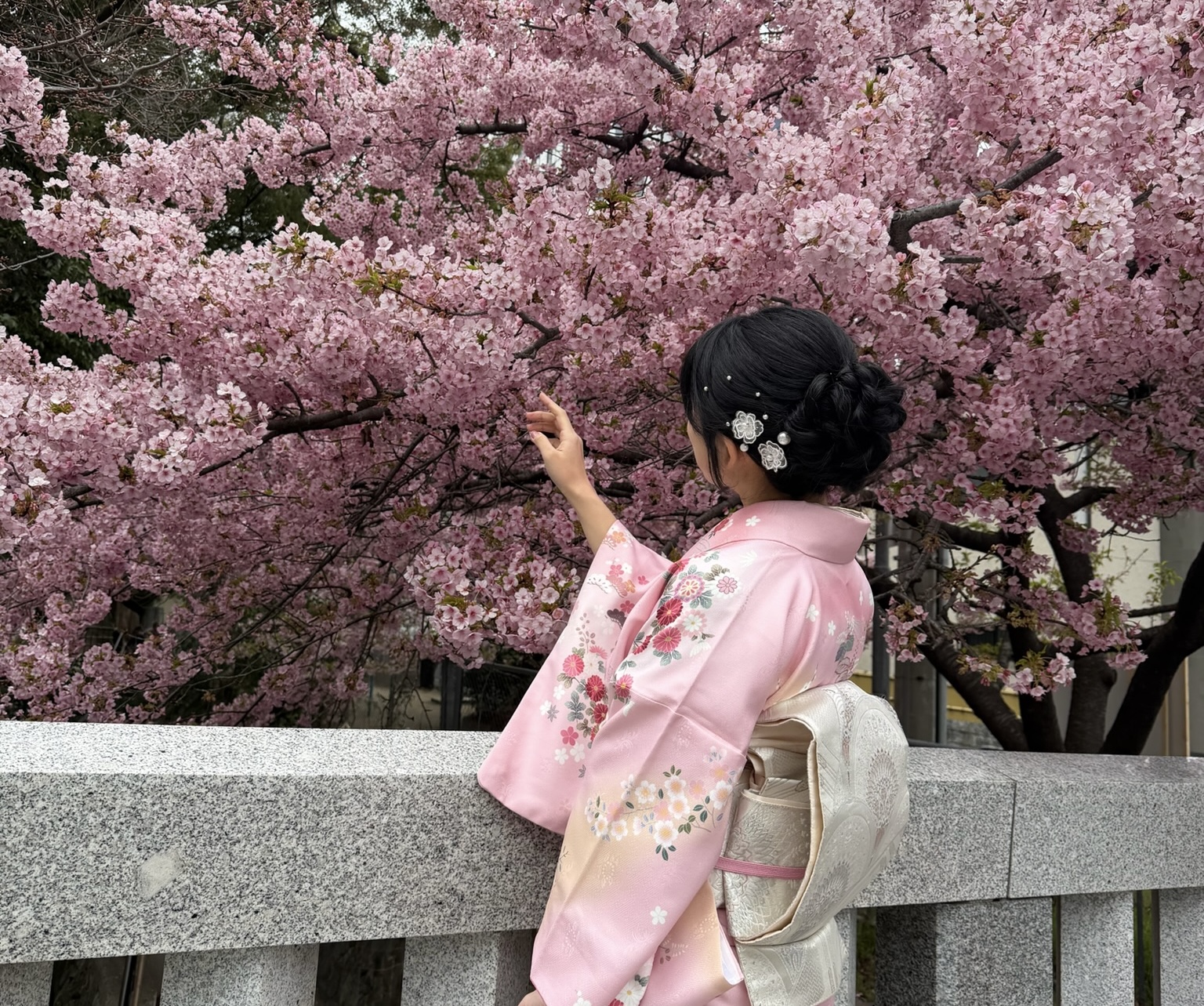 京都で桜を見るならここ！意外と空いてる桜の名所＆穴場スポット