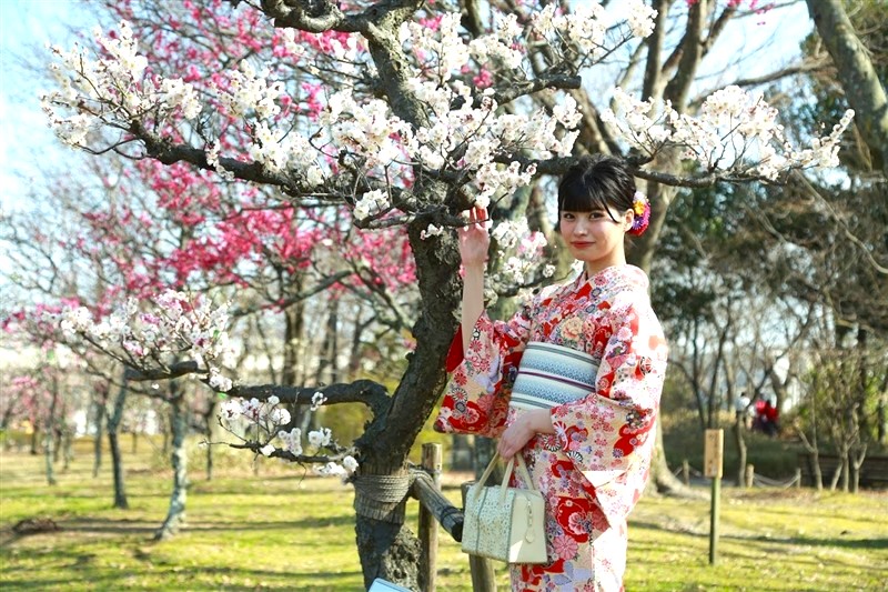 春を先取り！桜シーズンに、着物が人気な理由