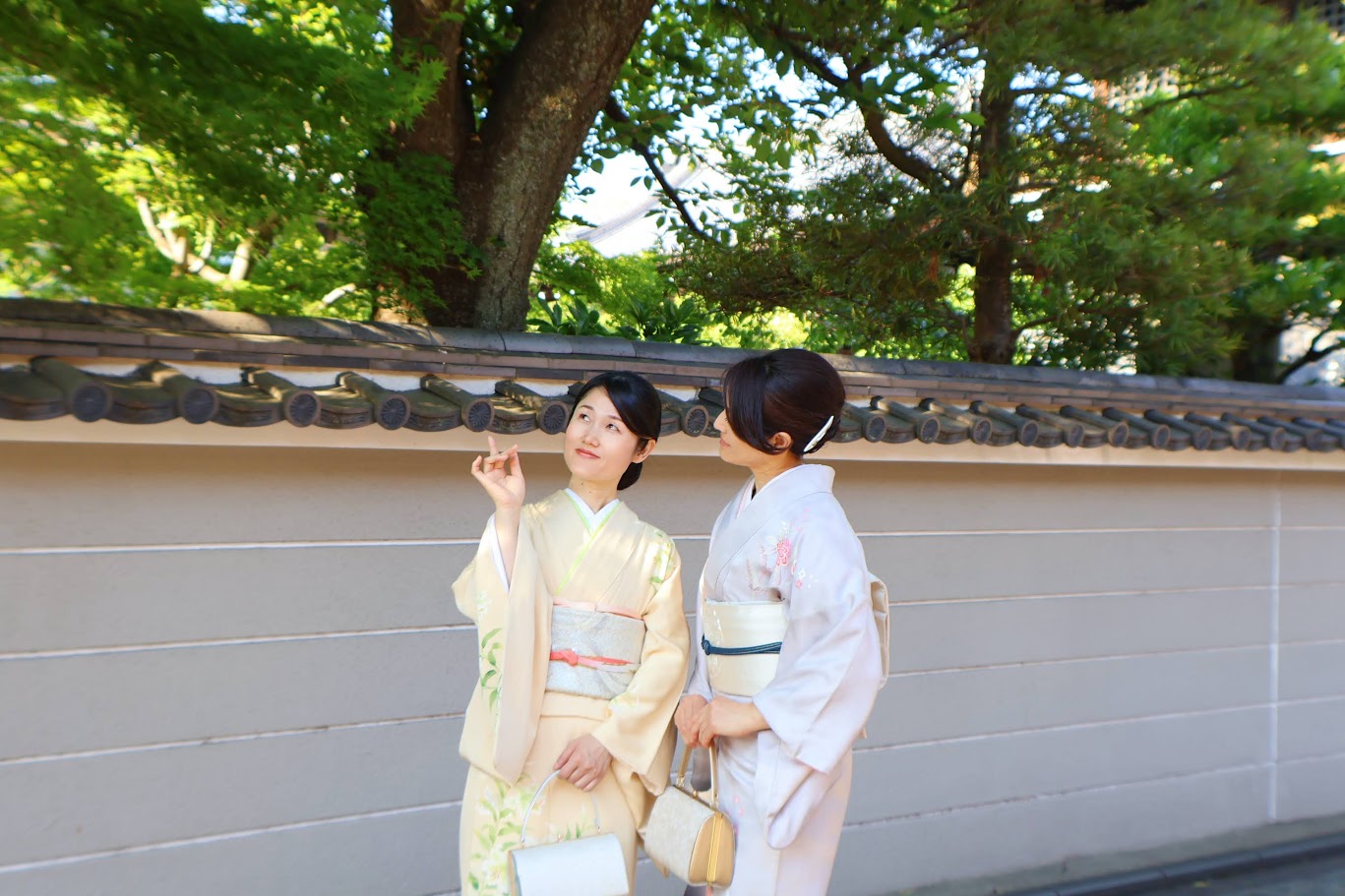 大人女子で行く!訪問着