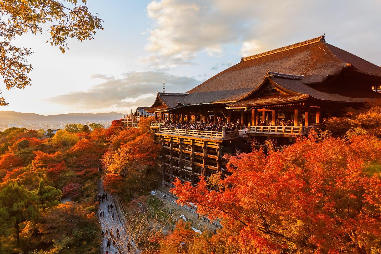 紅葉シーズンに訪れたい京都のおすすめ観光スポット４選！